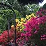 Romantik U Raka فندق براغ
