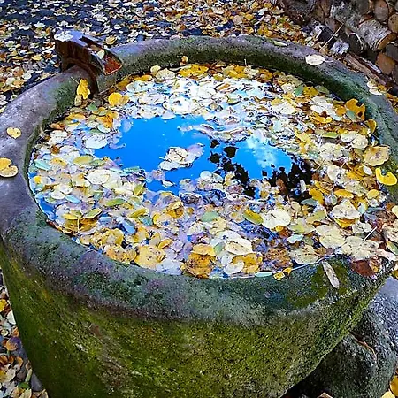 Romantik U Raka Hotel