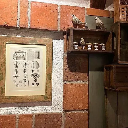 Romantik U Raka 4* Praga