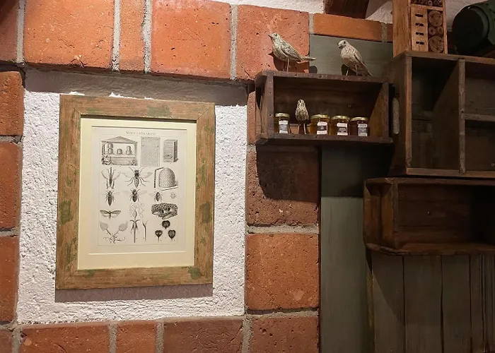 Romantik U Raka 4*