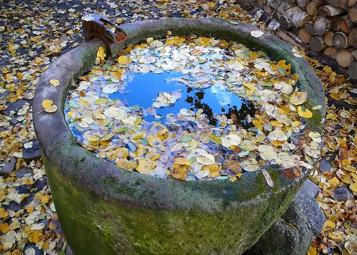 Romantik U Raka