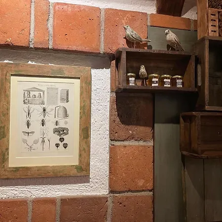 拉卡罗曼提克酒店 4*